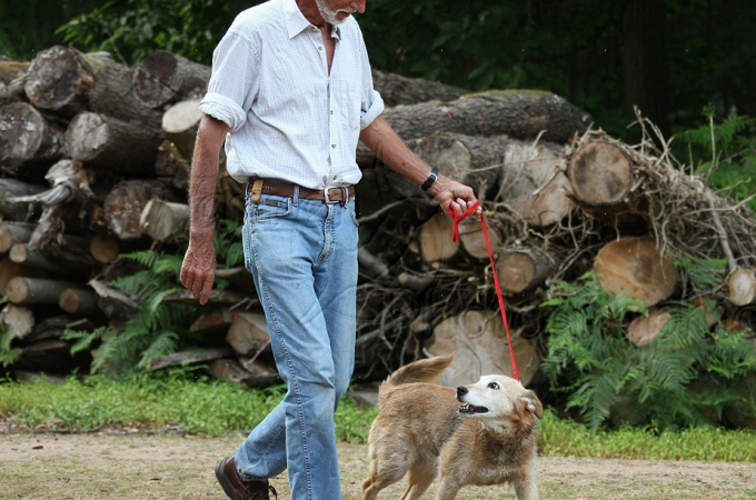Dog walking for the elderly