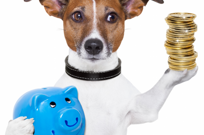 How to own a dog on a budget
